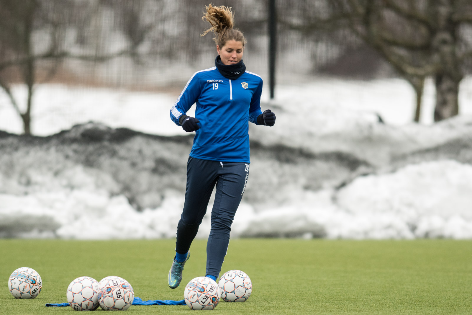 Chixa forsterker med amerikaner